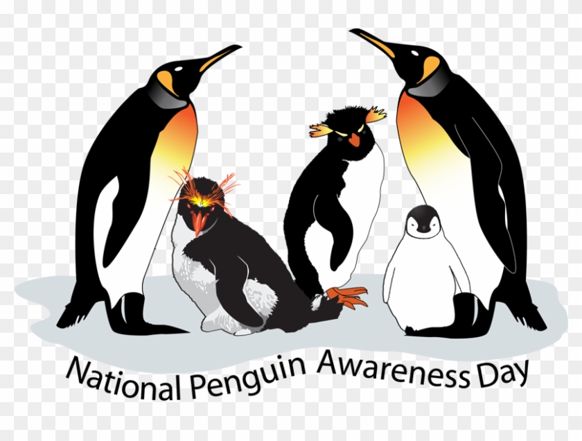 Today, January 20, Is Penguin Awareness Day - Penguin Awareness Day #353991