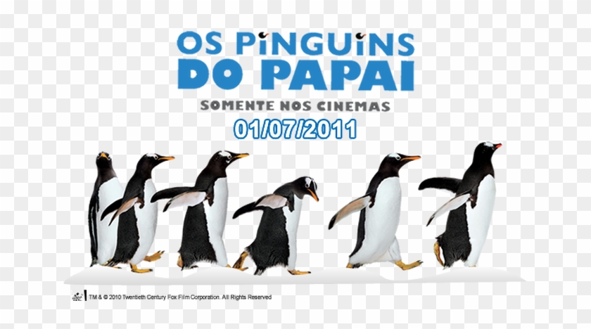 Mr Popper's Penguins Movie Poster #354003