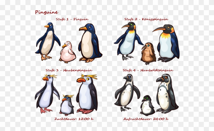 Pinguin590 - King Penguin #354042