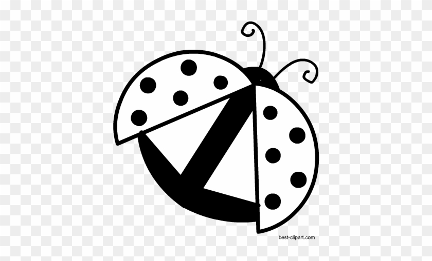 Black And White Image Of A Ladybug Ready To Fly Free White Free Transparent Png Clipart Images Download Black And White Image Of A Ladybug Ready To Fly Free White Free Transparent Png Clipart Images Download