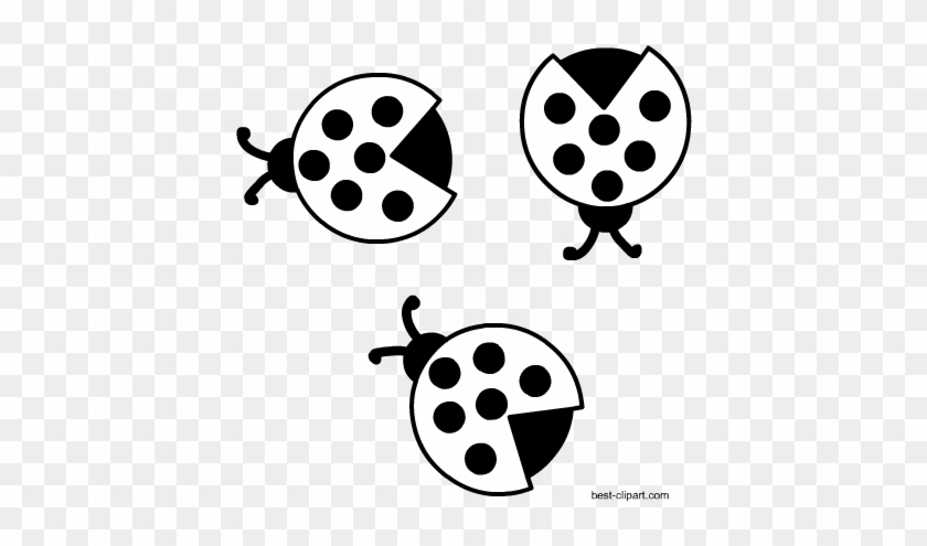 Free Clipart Black And White Ladybirds - White #354052