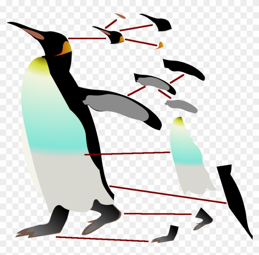 King Penguin Structured Into Its Subobjects - Penguin Clip Art #354062