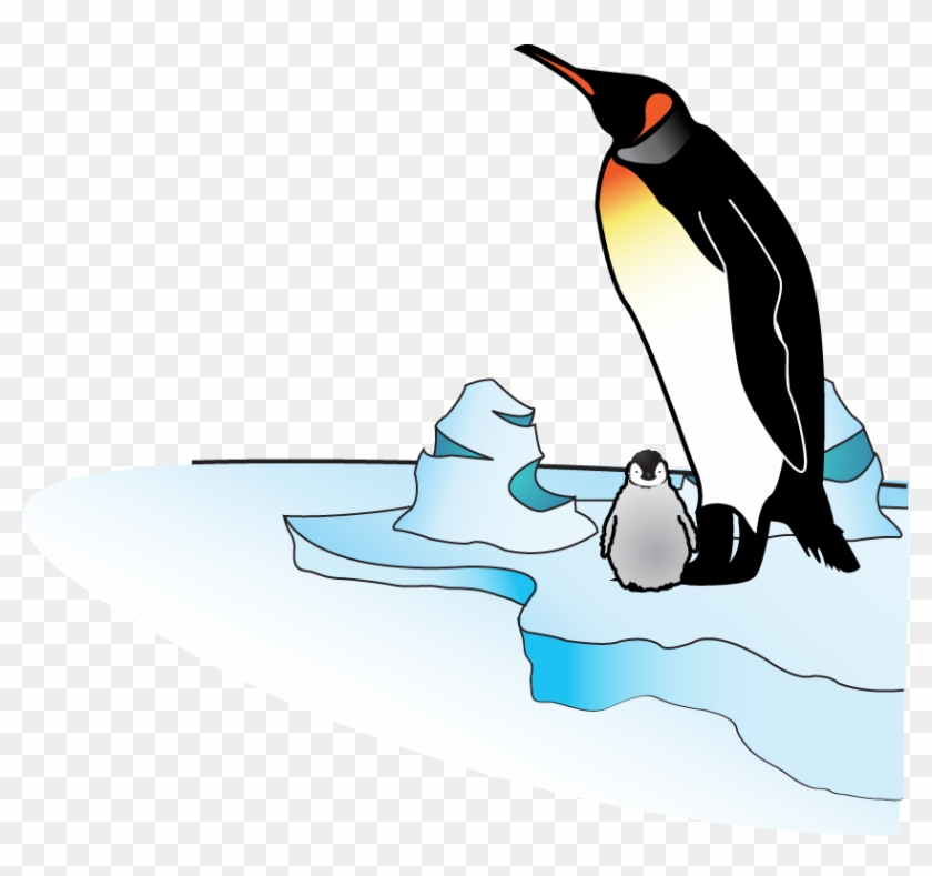 Penguin - Penguin #354066