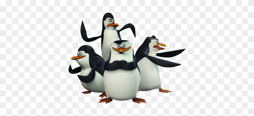 פיניאס ופרב, הפינגוינים ממדגסקר, האוס - Cartoon Network Penguin Show #354070