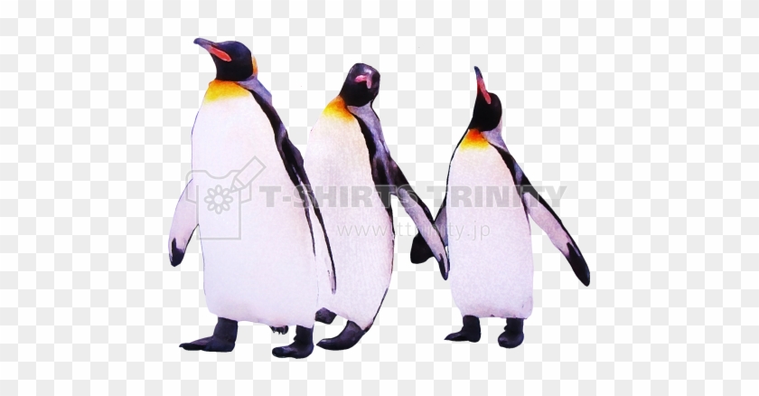 前面（デザイン） - Emperor Penguin #354159