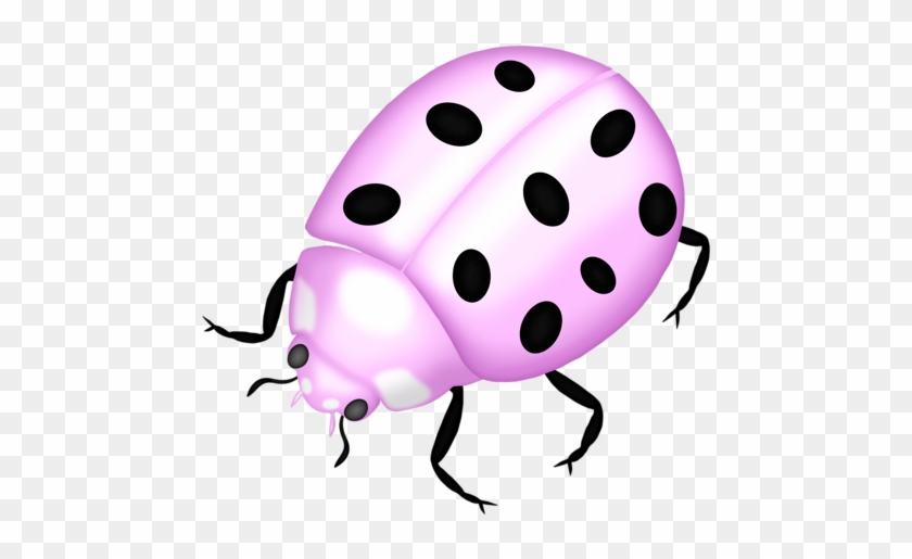 Bug-01 - Ladybird Beetle #354210