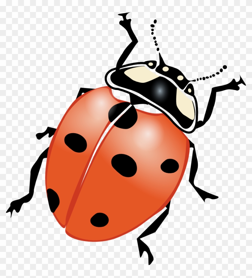 Ladybug Clipart Big - Bug Clip Art #354218