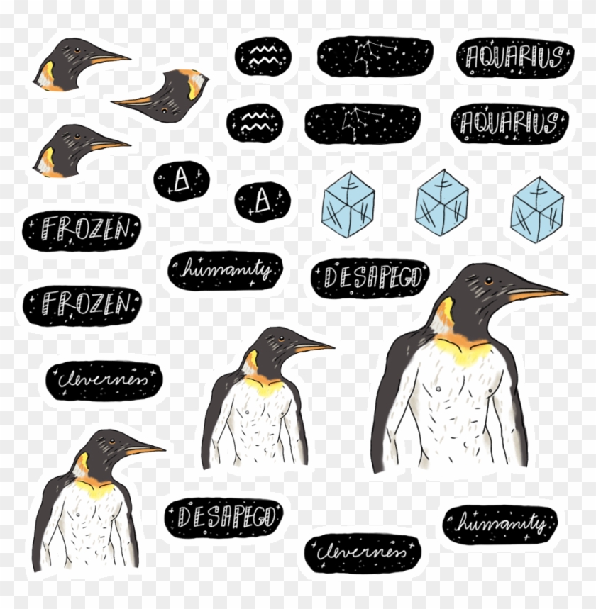 King Penguin #354234