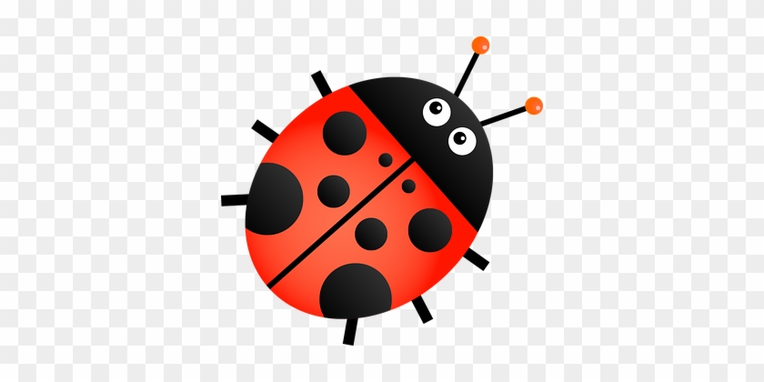 Ladybug Insect Animal Cartoon Bug Beetle L - Ladybug Clipart Transparent Background #354292