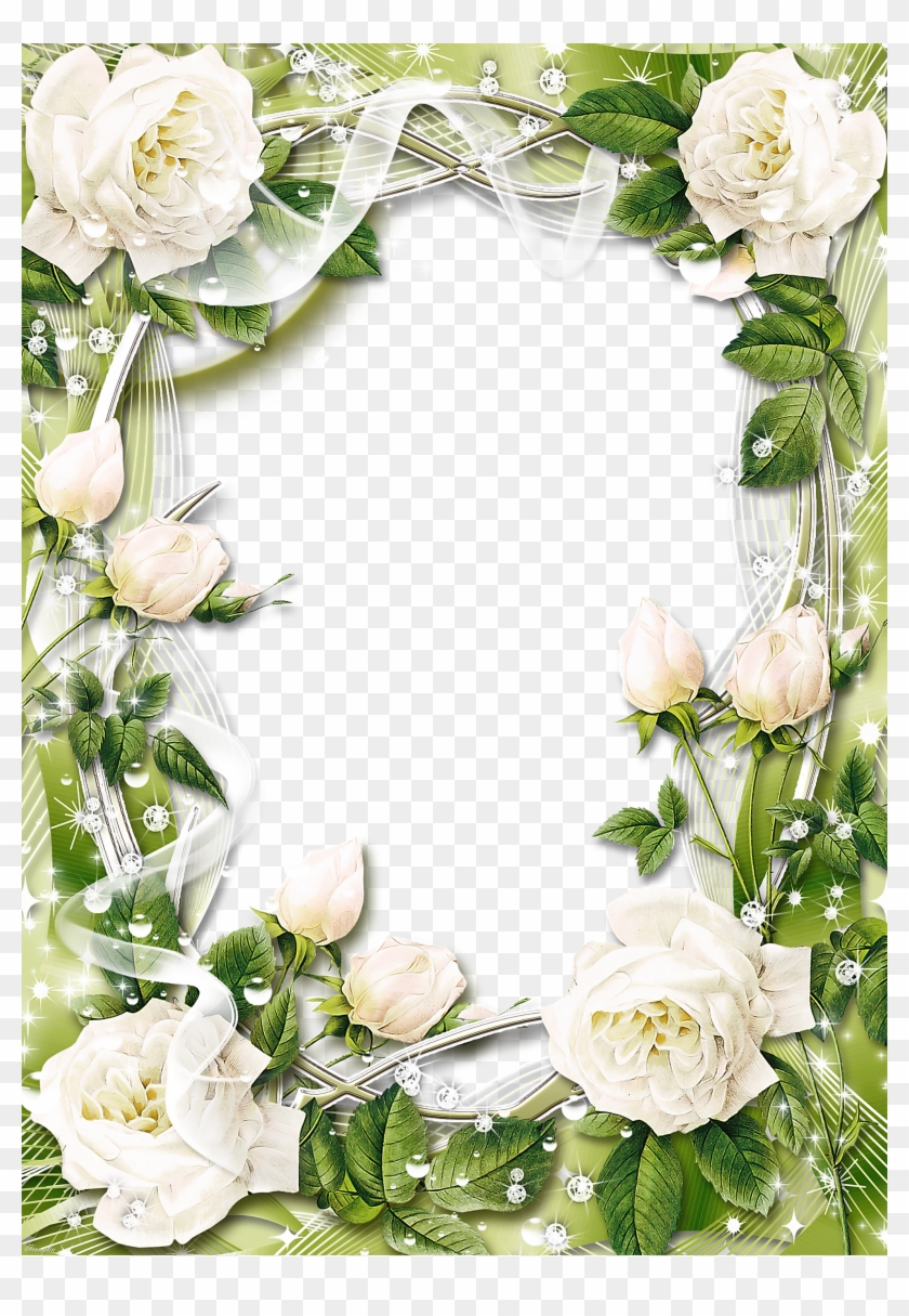 Groen Transparant Png Fotolijst Met Witte Rozen - Free White Rose Border #354392