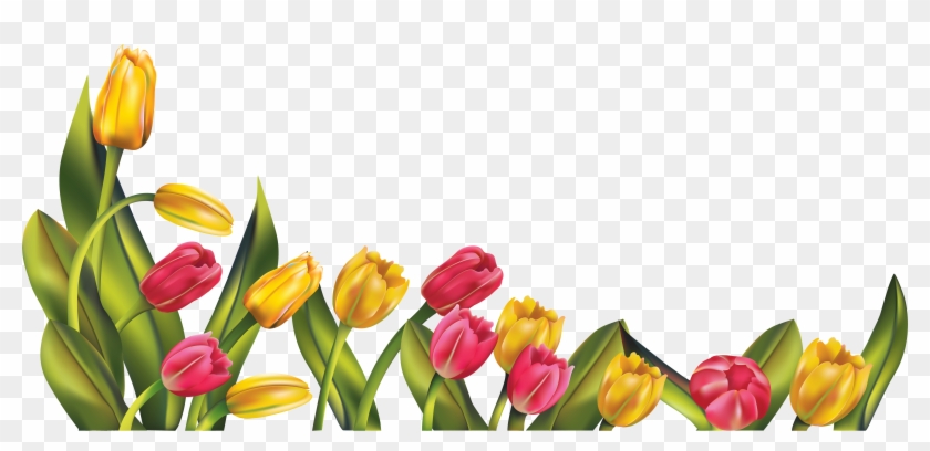 Spring Bottom Borders Clipart - Tulips Png #354396
