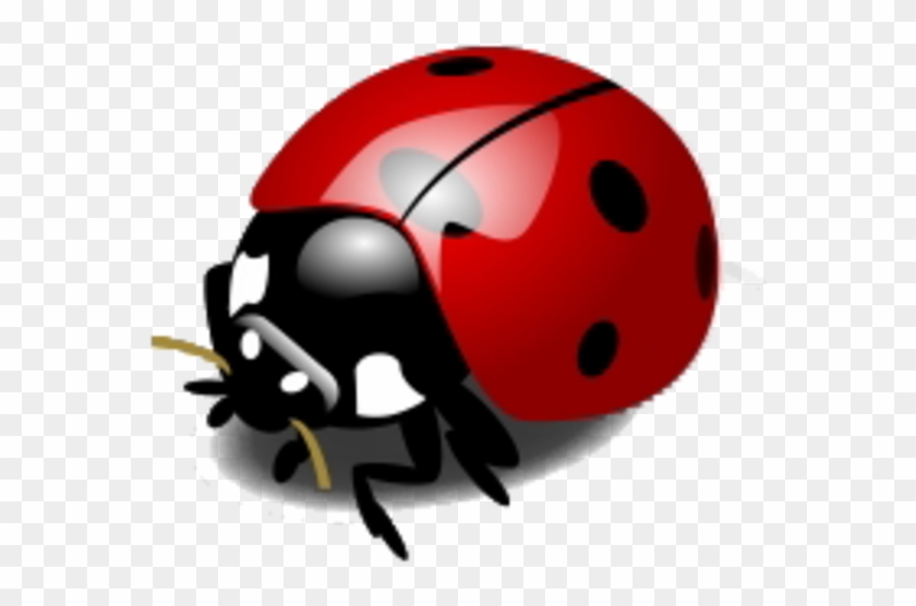 Insect Ladybird Drawing Clip Art - Insect Ladybird Drawing Clip Art #354452