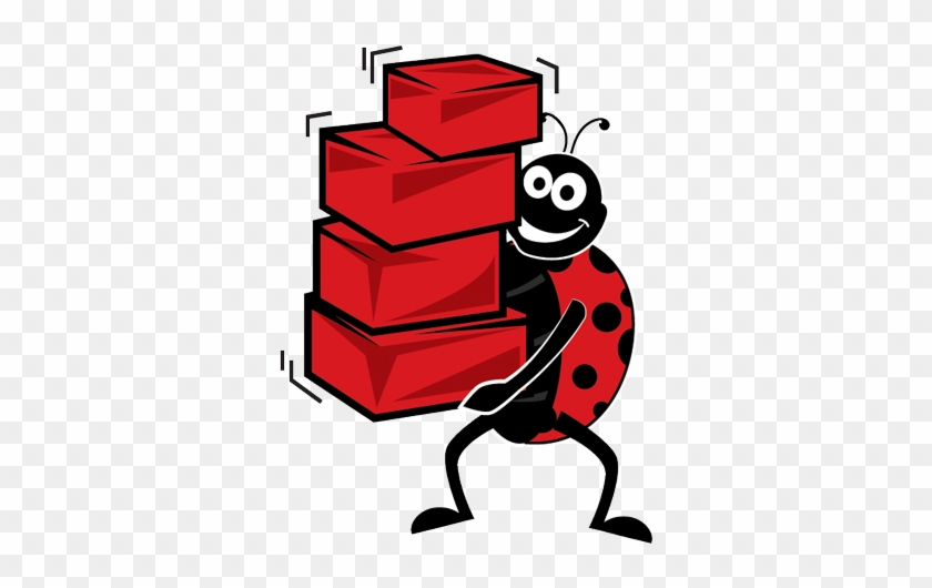 About Ladybird Self Storage - About Ladybird Self Storage #354455