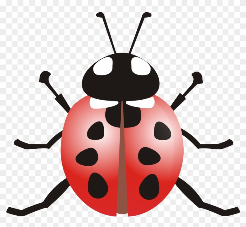 Ladybird Beetle Coccinella Septempunctata Clip Art - Ladybird Beetle Coccinella Septempunctata Clip Art #354473