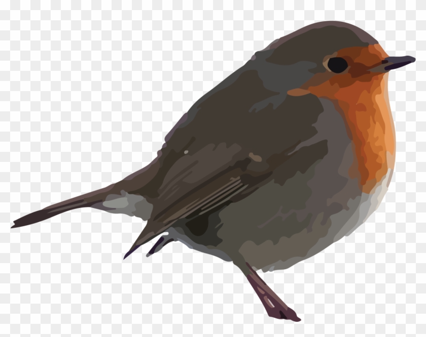 Robin Mckay - Robins Clip Art #354594