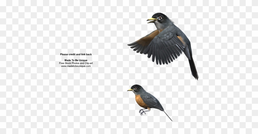 robin flying clipart