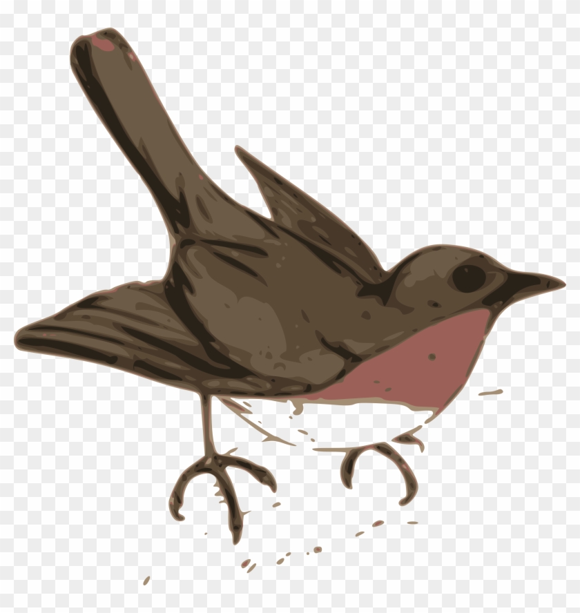 Wren Clipart Robin Bird - Bird Clip Art #354702