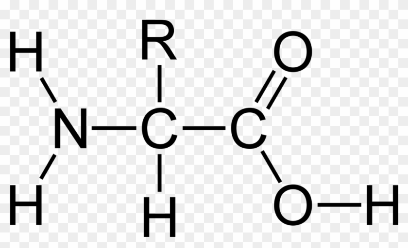 #5 A Substance Made Of Amino Acids - Baking Soda Lewis Structure #354877