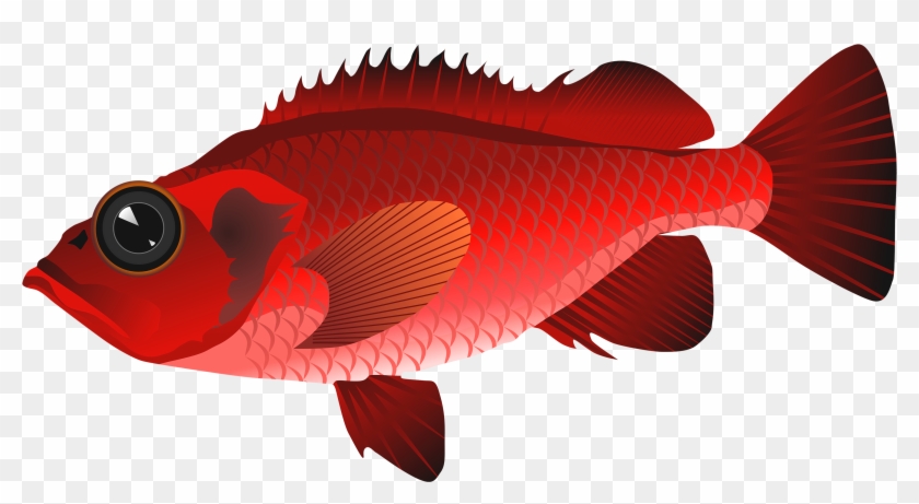 Red Fish Png Clipart - Fish Clip Art Png #354885