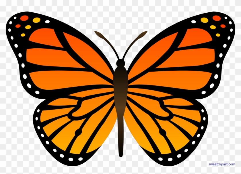Monarch Butterfly Clip Art - Butterfly Clip Art #354906