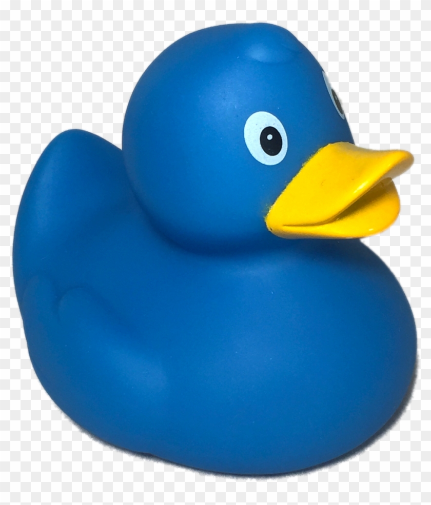 Blue Rubber Duck Png #355032