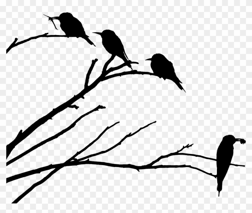 Onlinelabels Clip Art - Bird On Branch Silhouette Png #355036