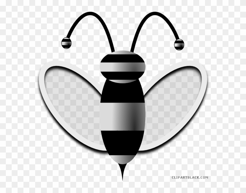 Honey Bee Animal Free Black White Clipart Images Clipartblack - Clip Art #355094