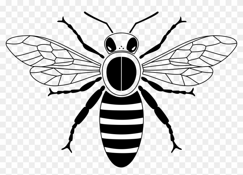 Big Image - Honey Bee Drawing #355102