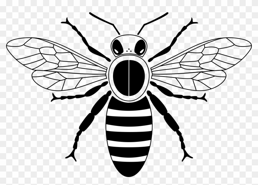 Featured image of post Realistic Bee Drawing