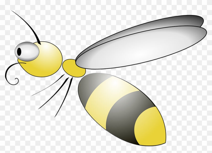 Bee In Cartoon Transparent #355112