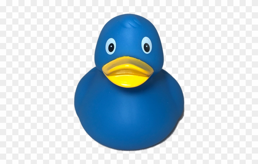 Duck #355150