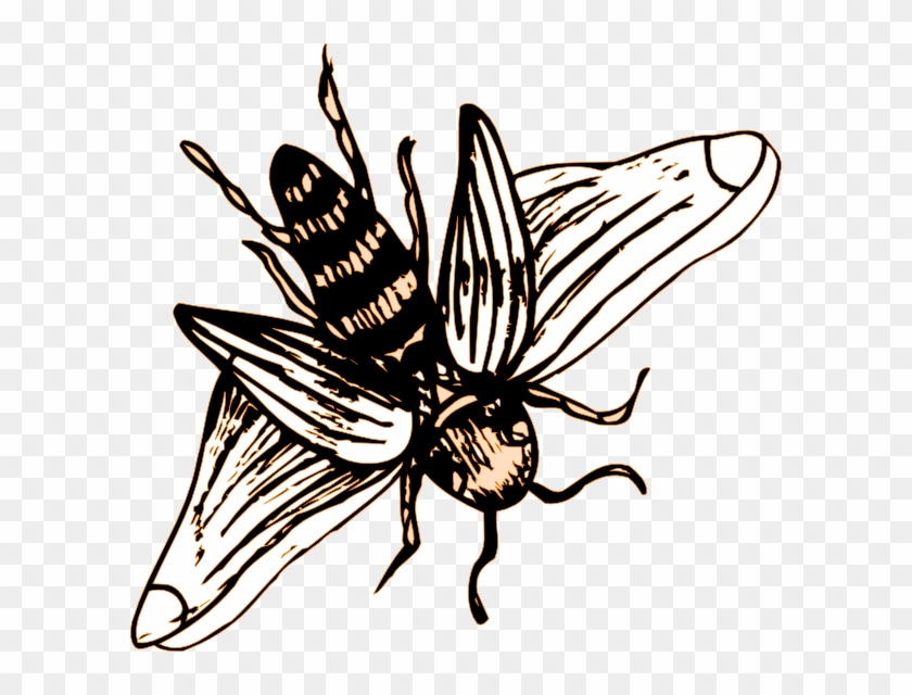 Bee Drawing Png #355192