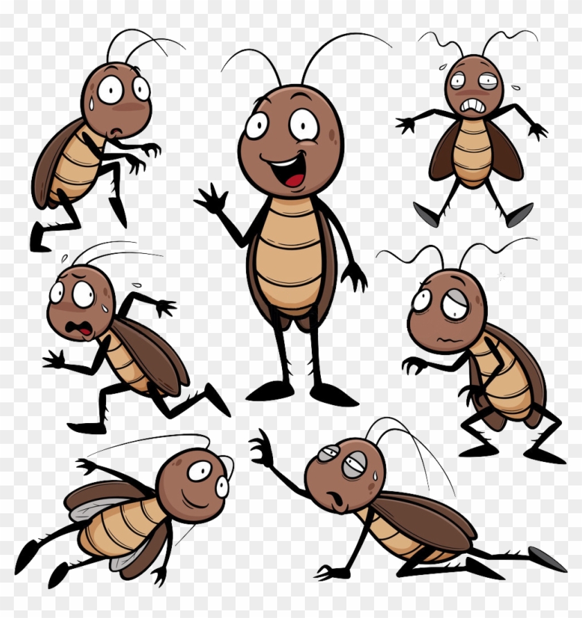 Cockroach Cartoon Drawing Clip Art - Cockroach Cartoon Drawing Clip Art #355460