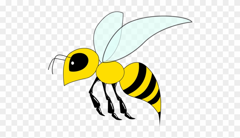 Bee Drawing - Drawings Of A Bee #355310