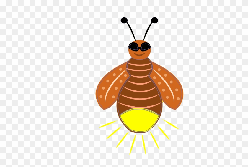 Firefly Png Pic - Portable Network Graphics #355317