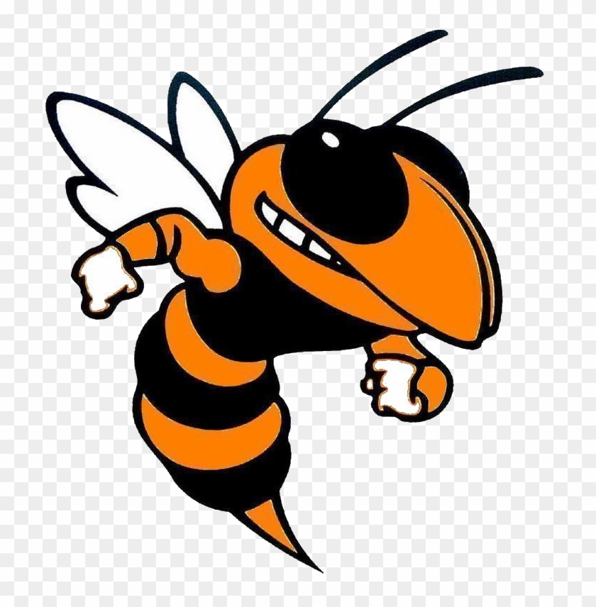 Orange County High School Hornet #355332