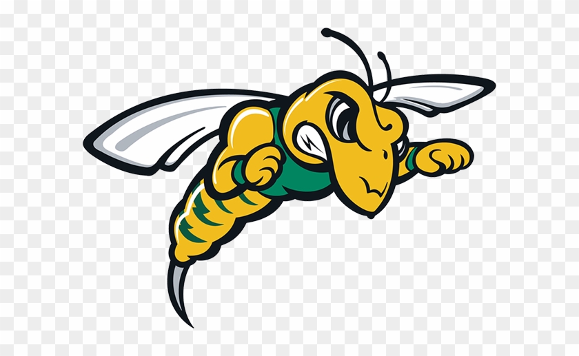 Black Hills State University Mascot #355343