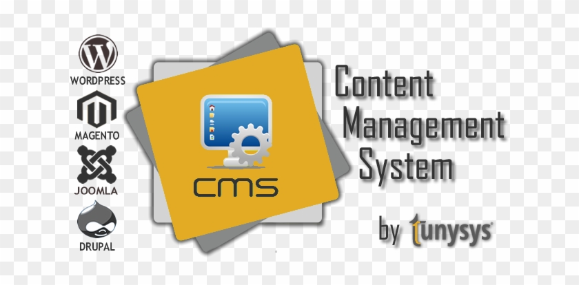 Content Management System Web Designing & Development - Responsive Web Design #355391