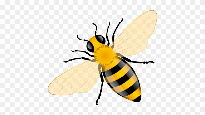ิbee - Bee Vector #355496