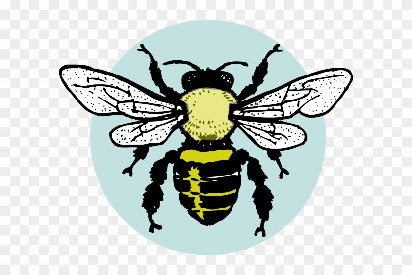 Little Bee Clip Art At Clkercom Vector Online - Parts Of Honey Bee #355501