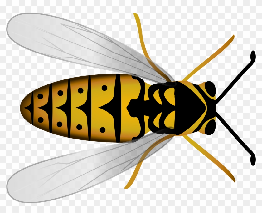 Clip Art Details - Custom Wasp Shower Curtain #355621