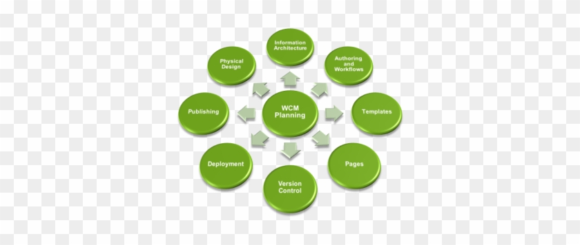 Web Content Management System - Diagram Of Consumer Right #355662