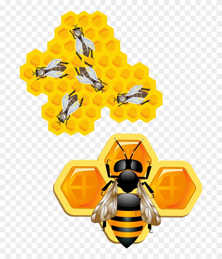 Bee Insect Honeycomb Clip Art - Bee Insect Honeycomb Clip Art #355823