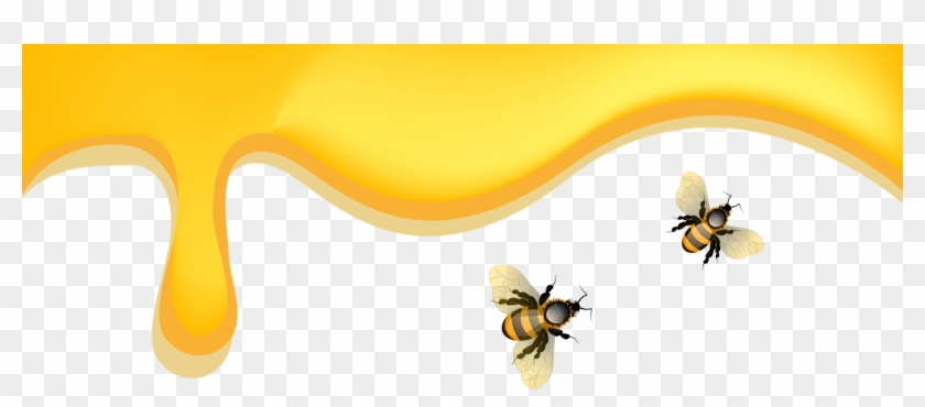 Bees🐝bears🐝honey - Honeybee #355825