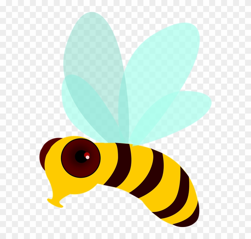 Bee Movie Clip Art At Clker - Bee #355850