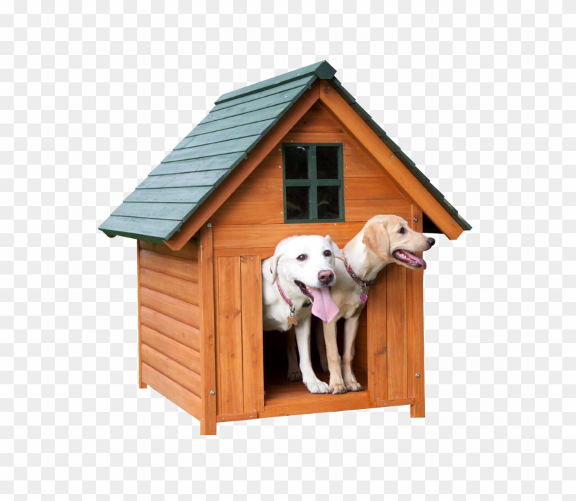 Dog House - Dog House #355867