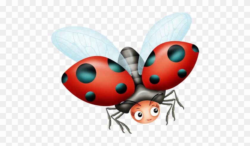 My Bee Maid - Ladybird Beetle #356013