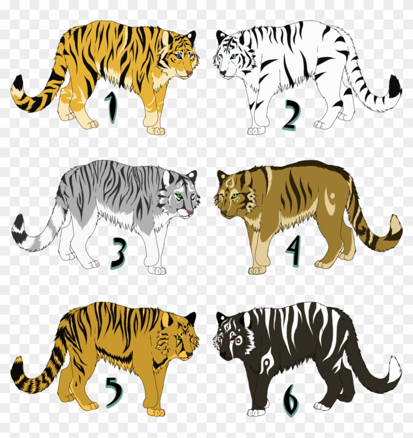Adoptable Tigers - Siberian Tiger #356039