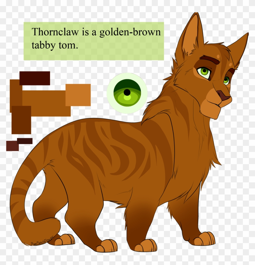 Thornclaw By Purespiritflower Thornclaw By Purespiritflower - Warrior Cat Drawings Purespiritflower #356085