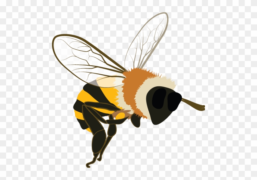 Bee #356125